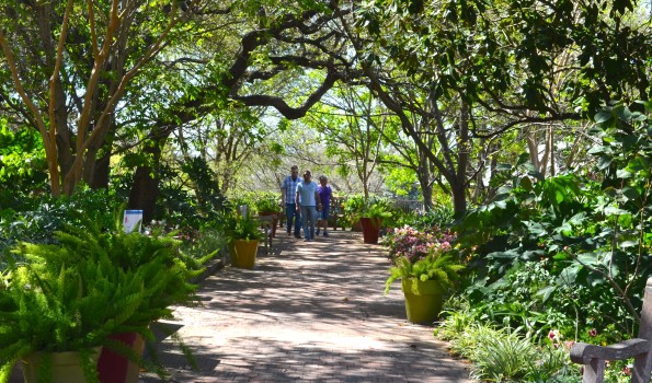 Botanical Garden in Pictures