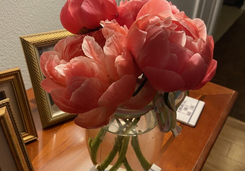 Red Peonies